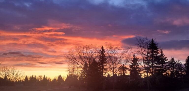 Sunrise by Laura Silver